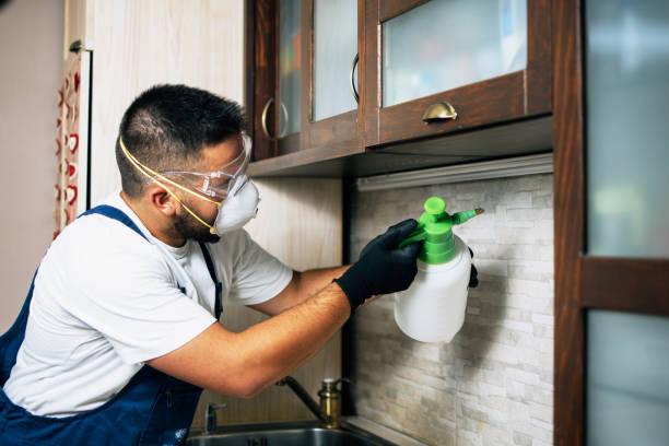 Best Mosquito Control Services  in Gardere, LA