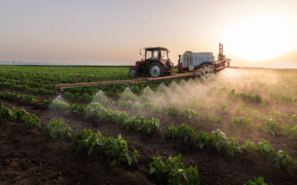 Professional Pest Control in Gardere, LA
