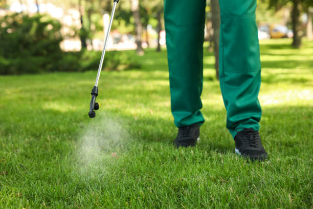 Best Local Pest Control Services  in Gardere, LA