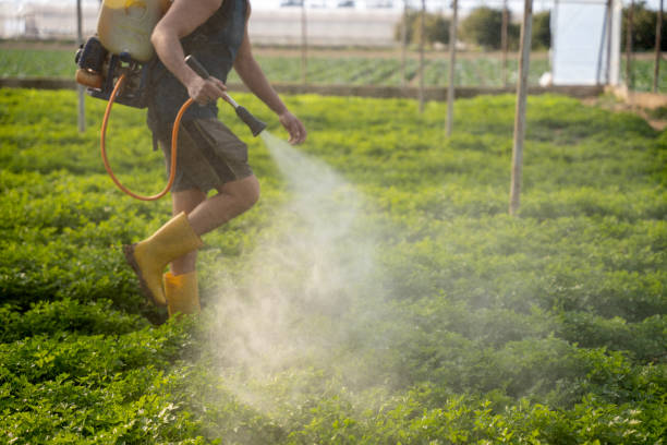Best Ant Control Services  in Gardere, LA