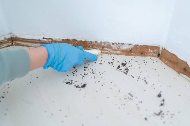 Best Affordable Pest Control Services  in Gardere, LA
